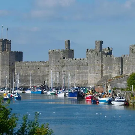 New Luxurious Escape Charming Dog Friendly Cottage Caernarfon Exterior photo